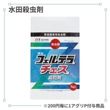 �ե���ƥ������Ȣγ��