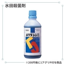 �Х������պޣ�