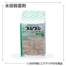 �ե����γ��