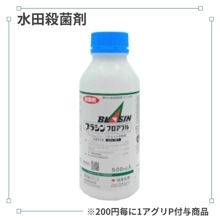 �֥饷��ե����֥�