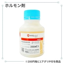 �Х���ƥ��ե����֥�