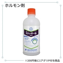 ���ȥåݡ���պ�