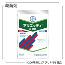 ���ꥨ�åƥ����º�