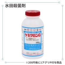 ���ߥ�����ǡ�500g��