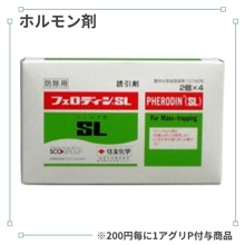 �ե����ǥ���ӣ̡�2�ġ�