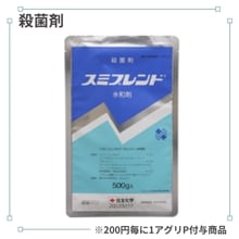 ���ߥ֥��ɿ��ºޡ�500g��