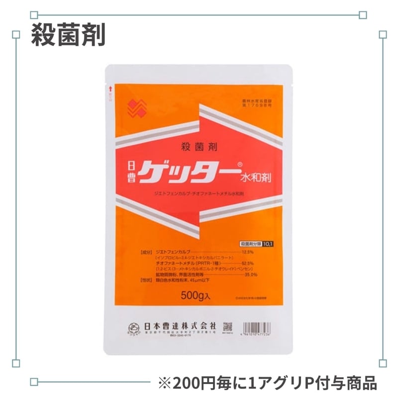 ���å������ºޡ�500g��