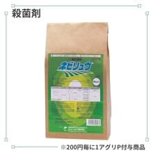 �ͥӥ�奦��10kg��