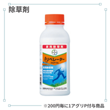 ��٥졼�����ե����֥��2L��