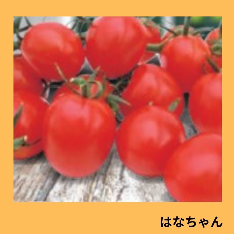 �Ϥʤ����ʾ��Ӽ��ġ�