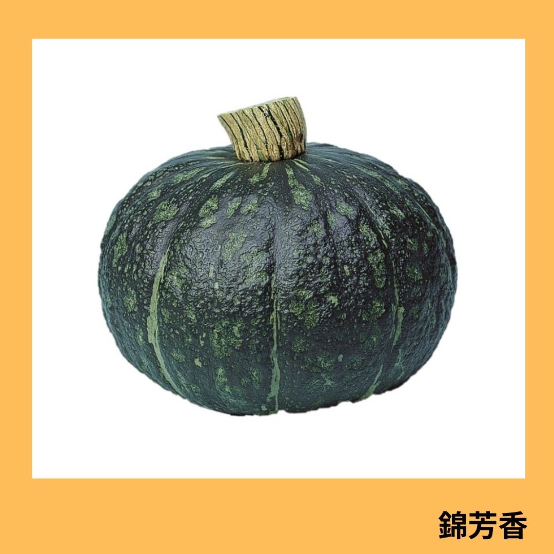 錦芳香（渡辺採種場） | 野菜の種,果菜,カボチャ | アグリブック