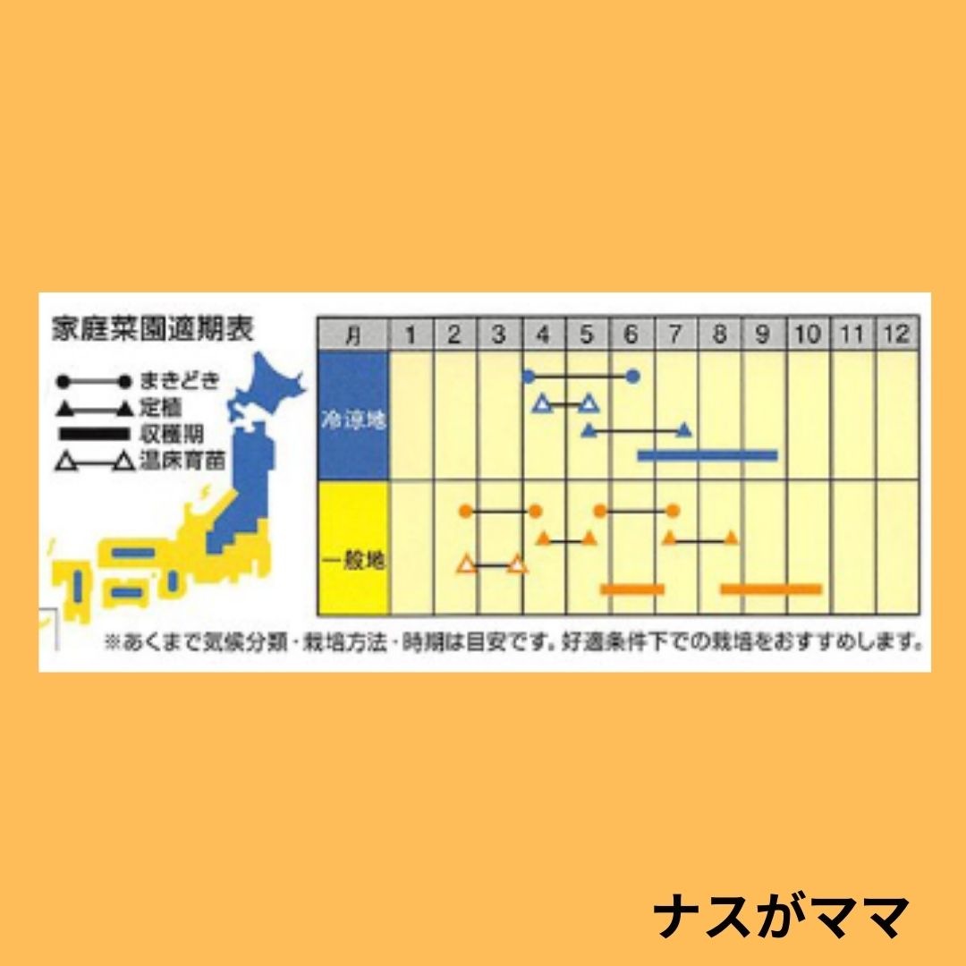 【ハナまま】　まとめ購入ページ ナスがママ（ナント種苗） | 野菜の種,果菜,ナス | アグリブック