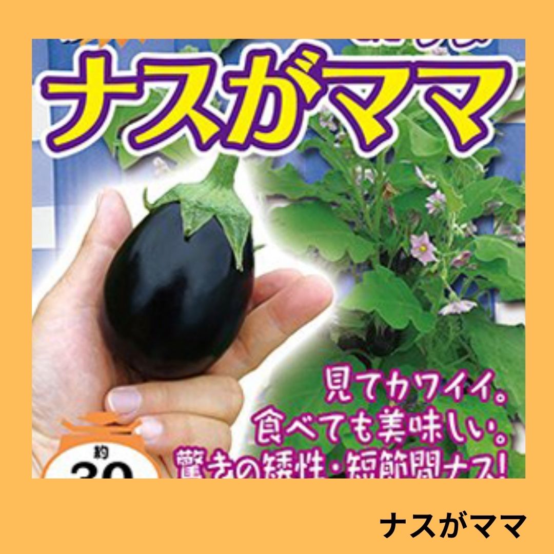 ナスがママ（ナント種苗） | 野菜の種,果菜,ナス | アグリブック