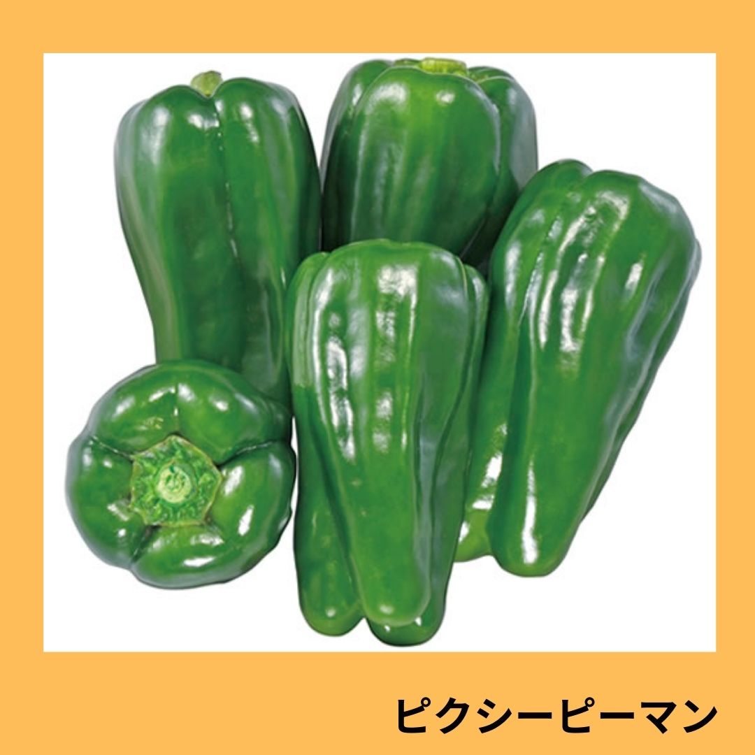 ピーマン様ご購入専用ページ ピクシーピーマン（横浜植木） | 野菜の種,果菜,ピーマン | アグリブック