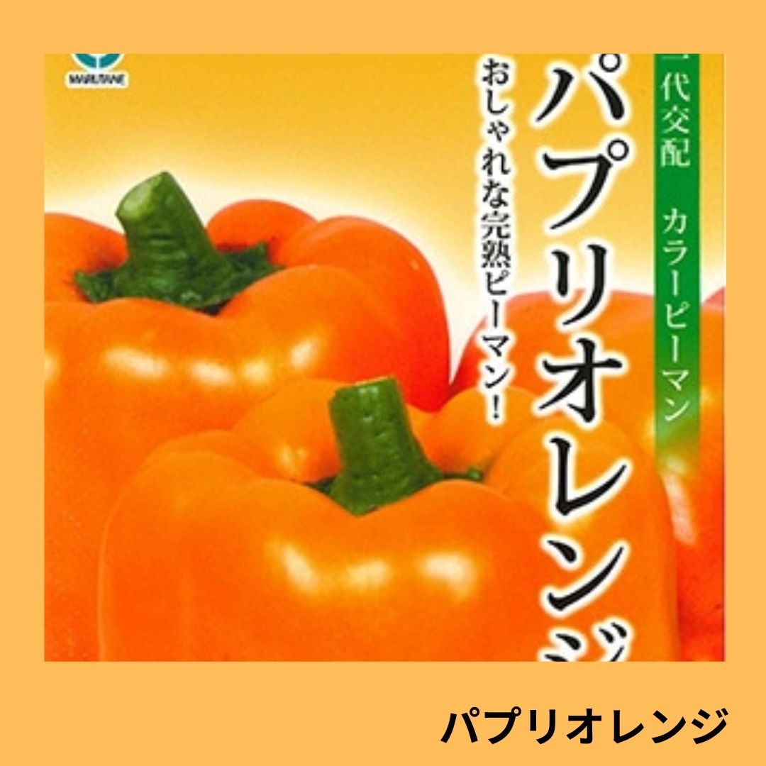 パプリオレンジ（丸種） | 野菜の種,果菜,ピーマン | アグリブック