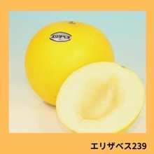 ���ꥶ�٥��������ʥ��������ߤ��ɡ�
