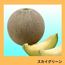 ���������꡼��ʥ��������ߤ��ɡ�