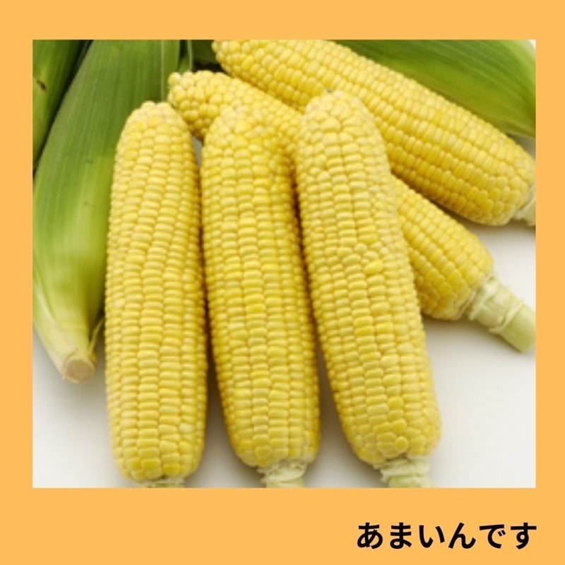 ���ޤ���Ǥ�������������