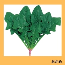 ������ʥ��������ġ�