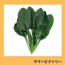 ���ޡ��ӥ��ȥ꡼�����պμ���