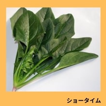 ���硼�����������������
