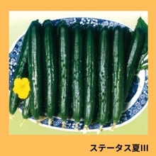 ���ơ������ƭ��ʵ�α�Ƹ���������