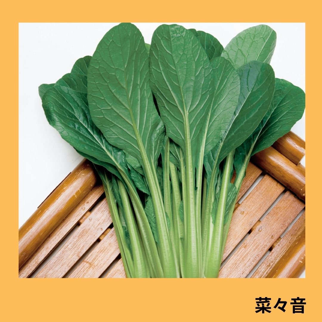 菜々音（タキイ種苗） | 野菜の種,葉菜,コマツナ | アグリブック