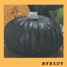 �����ޤ��Ӥ��ʥȡ��ۥ���