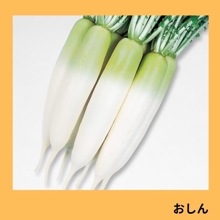 ʥġˡ