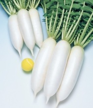 Ϻʥġ