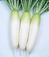 еʥġˡ
