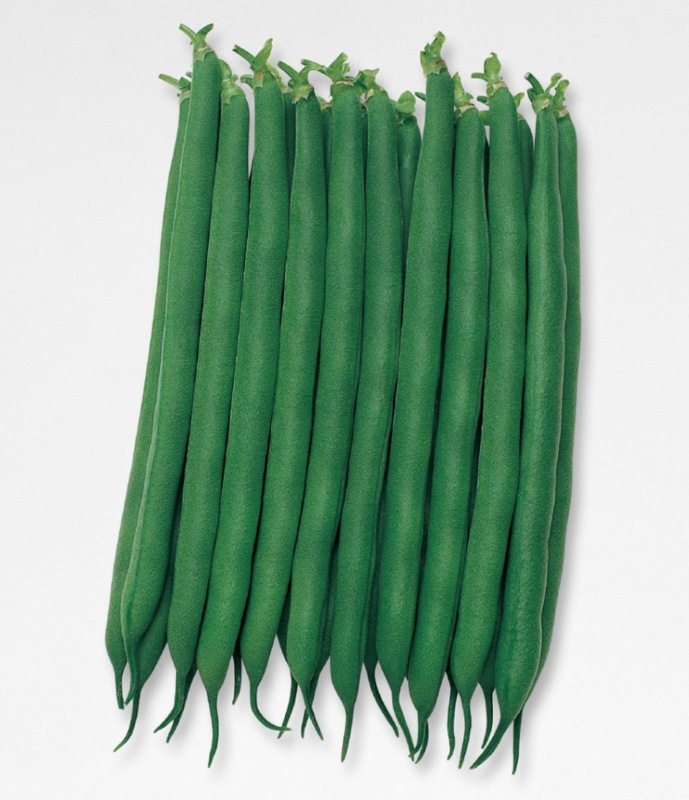 ��ߤɤꣲ��ʥ��������ġˡ�