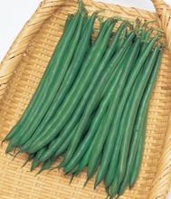 ���ߤɤ�ʥ��������ġˡ�