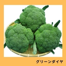 ���꡼����������������ˡ�