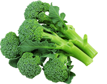 ���꡼�󥳡��������������