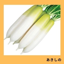 Ρˡ