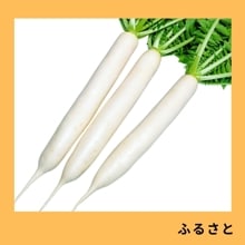 դ뤵ȡˡ