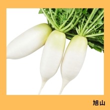 ˡ