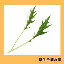 ������ڿ�ڡ���������ˡ�