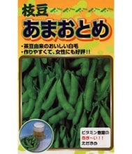 ���ޤ��Ȥ�ʥ����������