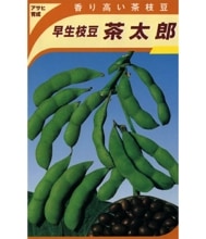 ����Ϻ�ʥ����������