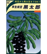 ����Ϻ�ʥ����������