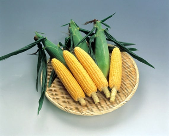 ̣�裳������ī�������ꥢ��