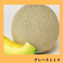 ���졼���������ʥ�����ޥ����ɡ�