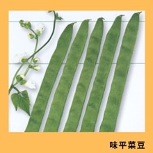 ̣ʿ��Ʀ�ʥȡ��ۥ���