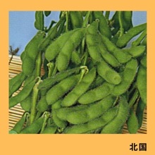 �̹�ʥȡ��ۥ���