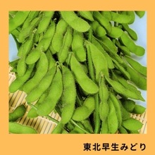 ���������ߤɤ�ʥȡ��ۥ���