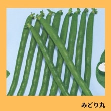 �ߤɤ�ݡʥȡ��ۥ���