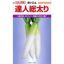 ãʥͥġ