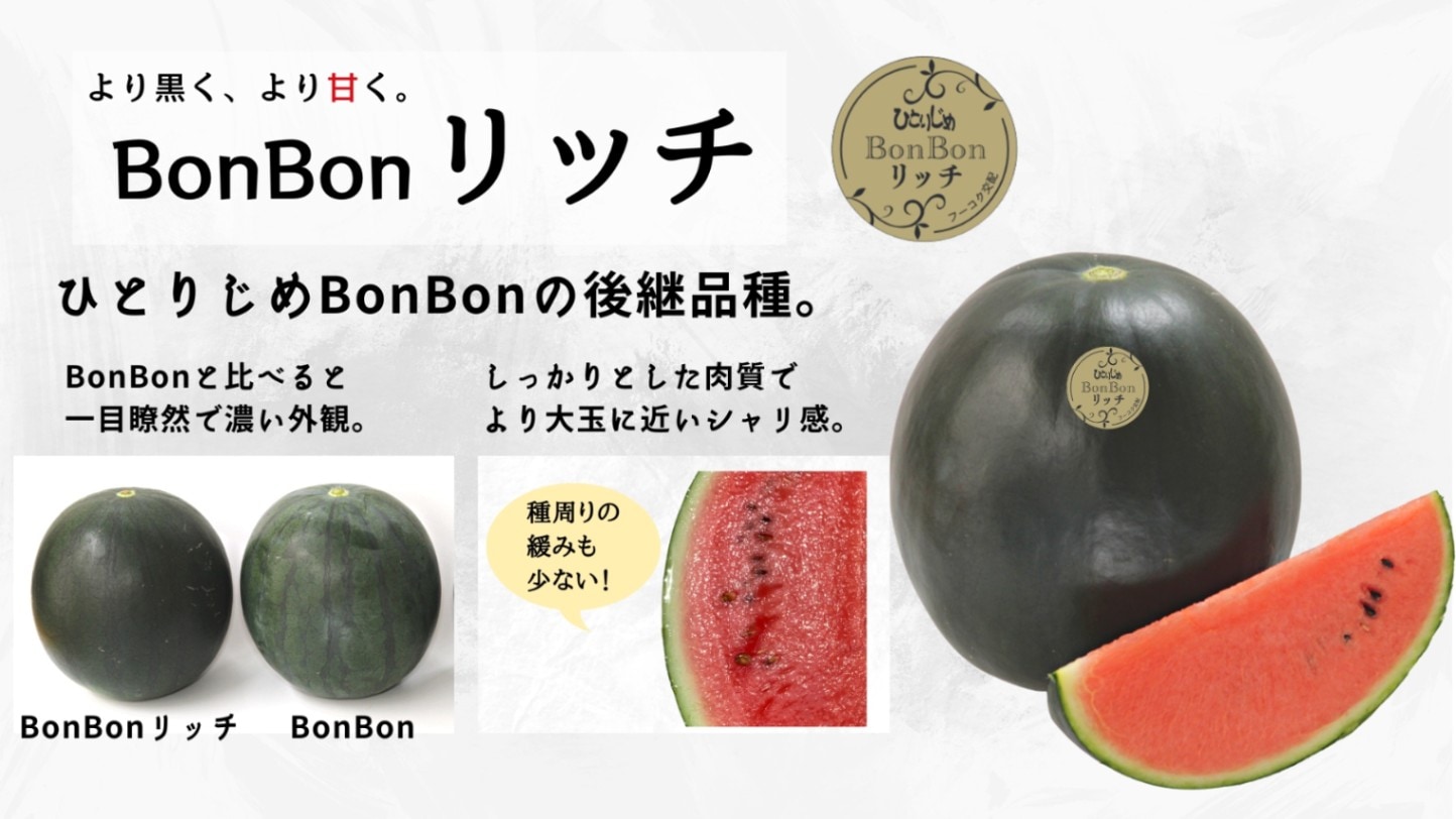 ひとりじめBonBonリッチ（萩原農場） | 野菜の種,果菜,スイカ
